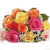 A dozen of multicolored roses