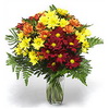 Chrysanthemums bouquet