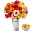 25 gerberas daises in a vase