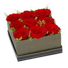 A box with 9 roses