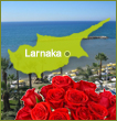 Larnaca Flowers