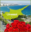 Limassol Flowers