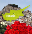 Nicosia Flowers
